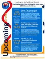 MMED Summer Institutes